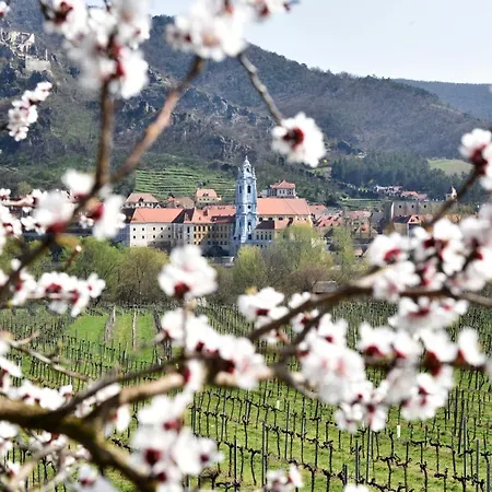 Donau Strandhaus Mit Duernstein Panorama Nyaraló