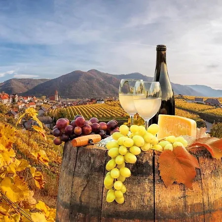 Donau Strandhaus Mit Duernstein Panorama Feriehus