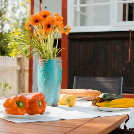 Feriehus Donau Strandhaus Mit Duernstein Panorama Rossatzbach