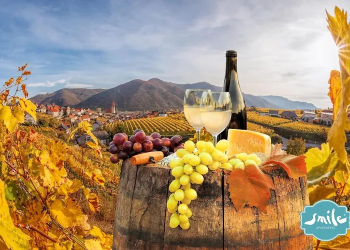 Donau Strandhaus Mit Duernstein Panorama Holiday home